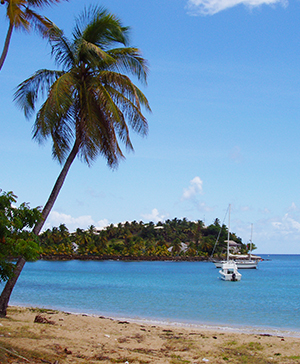 Curtain Bluff Beach