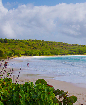 Half Moon Bay Antigua