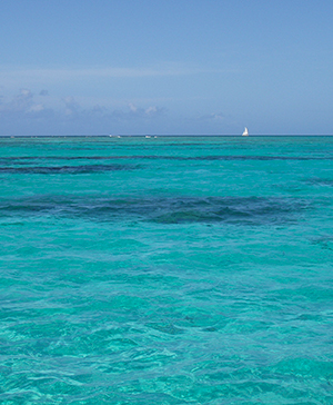 Jabberwock Beach Antigua